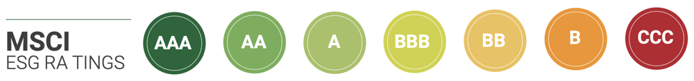 MSCI Ratings