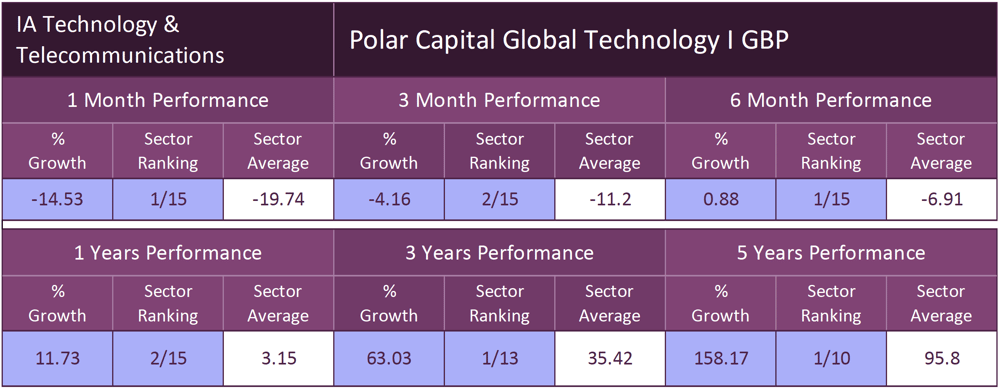 Polar Capital Global Technology