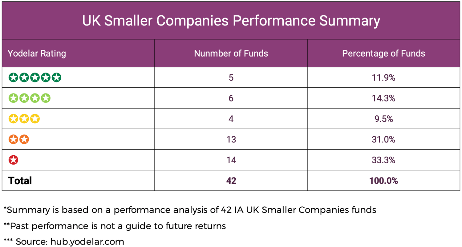UK Smaller Companies Performance Summary